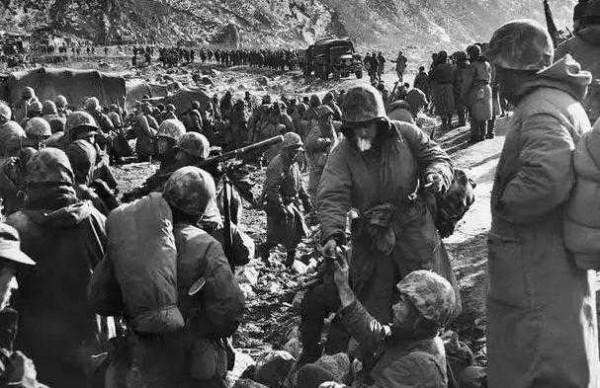 長津湖之戰，美國北極熊團為什麼被美國封神？