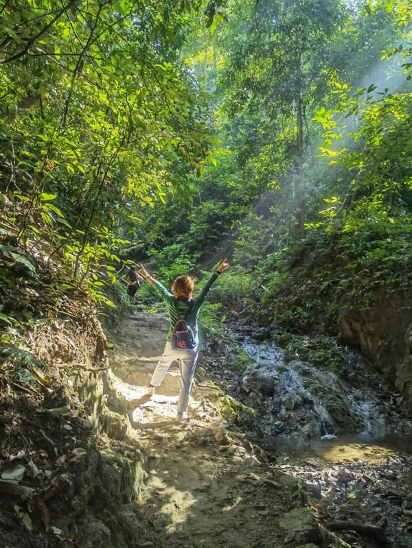 機緣巧合逛原始森林公園 機緣巧合逛原始森林公園