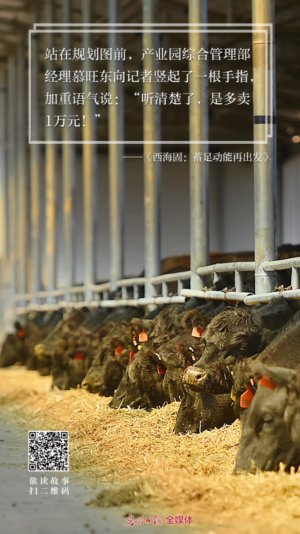 這，是屬於西海固的故事