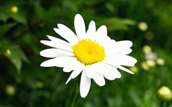 三觀正、人品好的星座，願意真心待人，值得交往