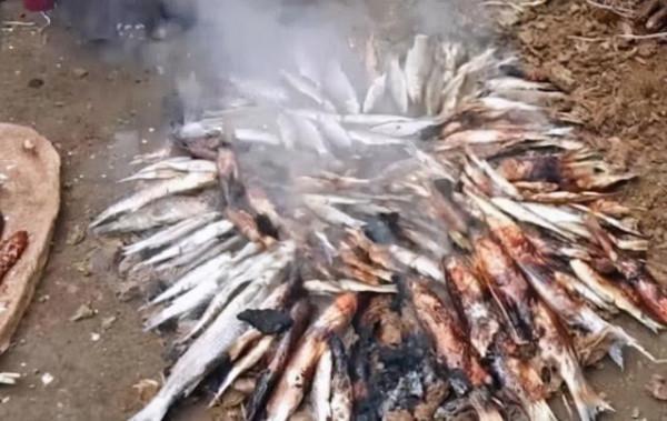 印度“牛糞餅”一盒205元，經常賣到脫銷，究竟有什麼用處？