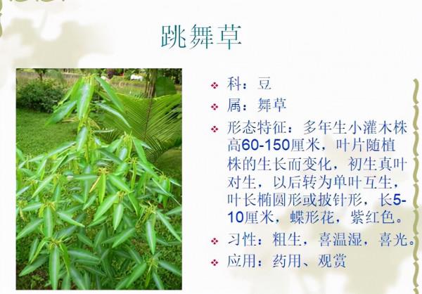認識這常見800種景觀觀花植物,從此花神就是你!附植物習性種植 認識這常見800種景觀觀花植物,從此花神就是你!附植物習性種植