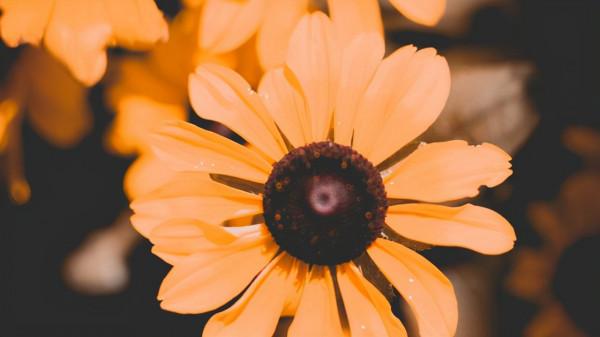 真的，不必為你的樣貌感到自卑