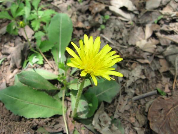 我的驢行日記——鳩山老王溝 我的驢行日記——鳩山老王溝