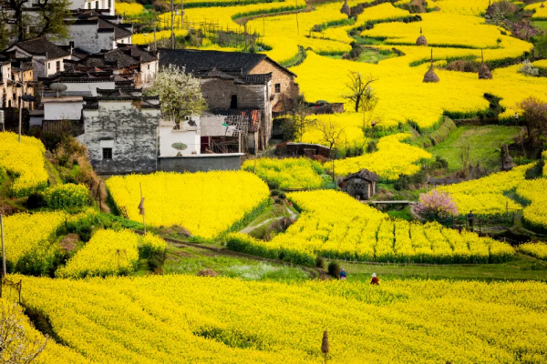 疫情過後一定要去打卡的11個網紅景點,人少景美,你準備好了嗎? 疫情過後一定要去打卡的11個網紅景點,人少景美,你準備好了嗎?