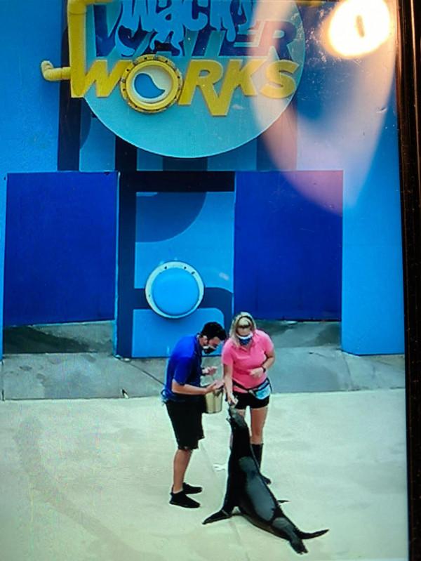 快來欣賞這些可愛的動物們