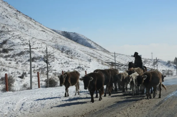 雪後走進烏孫山，陶醉在童話世界裡