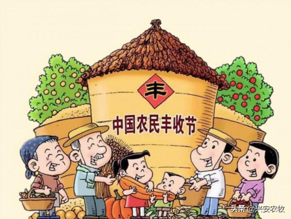 “豐”景這邊獨好——寫在第四個中國農民豐收節到來之際 “豐”景這邊獨好——寫在第四個中國農民豐收節到來之際