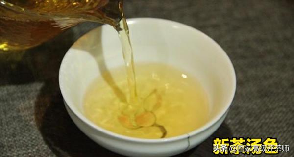 老班章的收藏價值 老班章的收藏價值