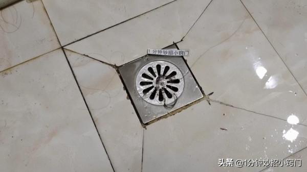 今天才知道,廢舊的鋼絲球是好東西,特“值錢”,學到就是賺到 今天才知道,廢舊的鋼絲球是好東西,特“值錢”,學到就是賺到