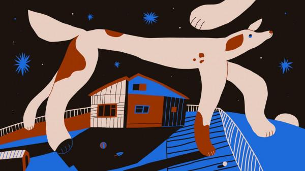 人性最大的愚蠢：自以為是