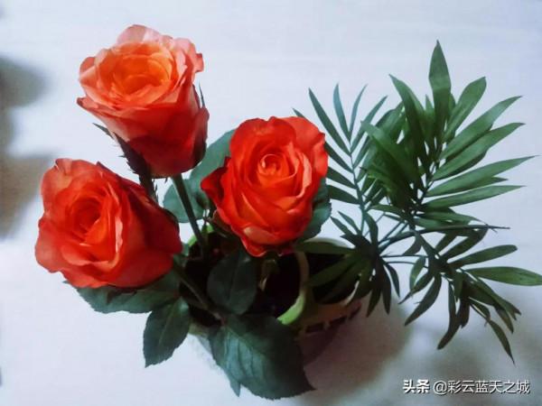 一個人的生活並不好 一個人的生活並不好