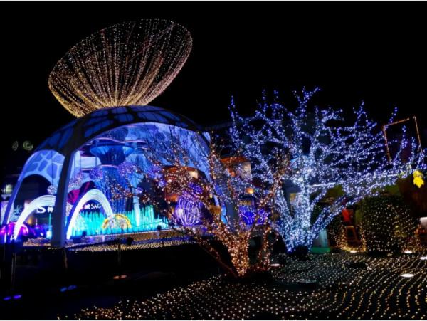 文旅遇上夜經濟，夜秀怎麼做？