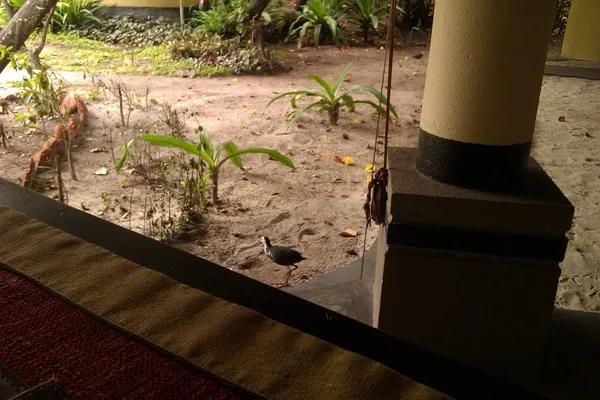 既然連死都不怕了,不如在死之前看看這個世界 既然連死都不怕了,不如在死之前看看這個世界