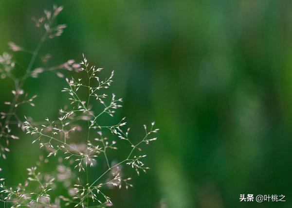 “親戚借錢買房，拒絕後翻臉”：有些關係，不必精心維護