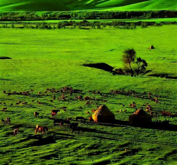 新疆是一幅畫,美得讓人沉醉 新疆是一幅畫,美得讓人沉醉