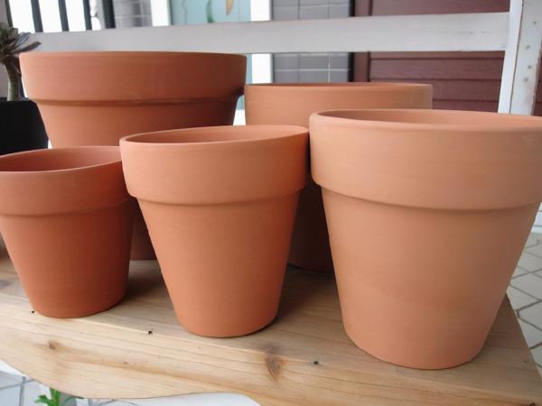 瓷盆，陶盆，粗陶盆，我們種花如何選擇？用對花盆，花種好一半