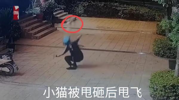 外賣小哥的所作所為,看著揪心 外賣小哥的所作所為,看著揪心