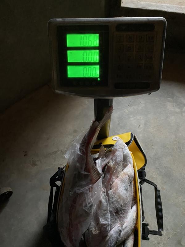 「秋釣」升鍾湖垂釣，改變線組，漁獲滿倉