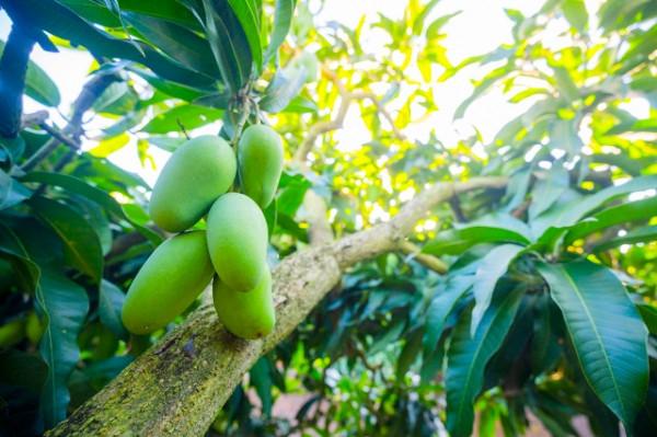 海南最美的8大海灣,太美了 海南最美的8大海灣,太美了