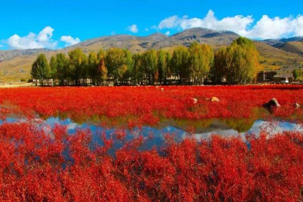 川西美景欣賞 川西美景欣賞