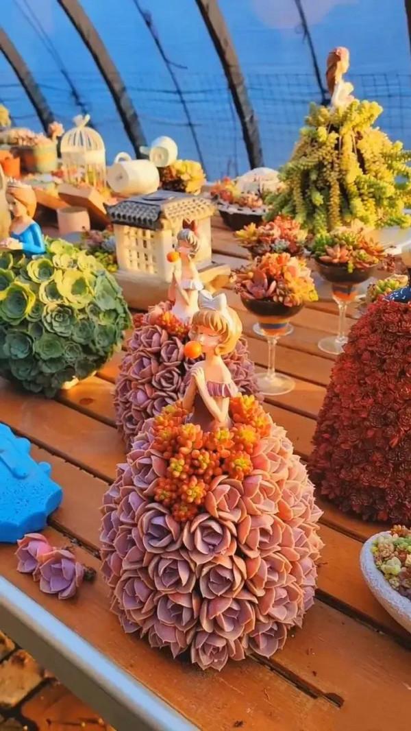 分享圖片，可愛的多肉們，收藏了