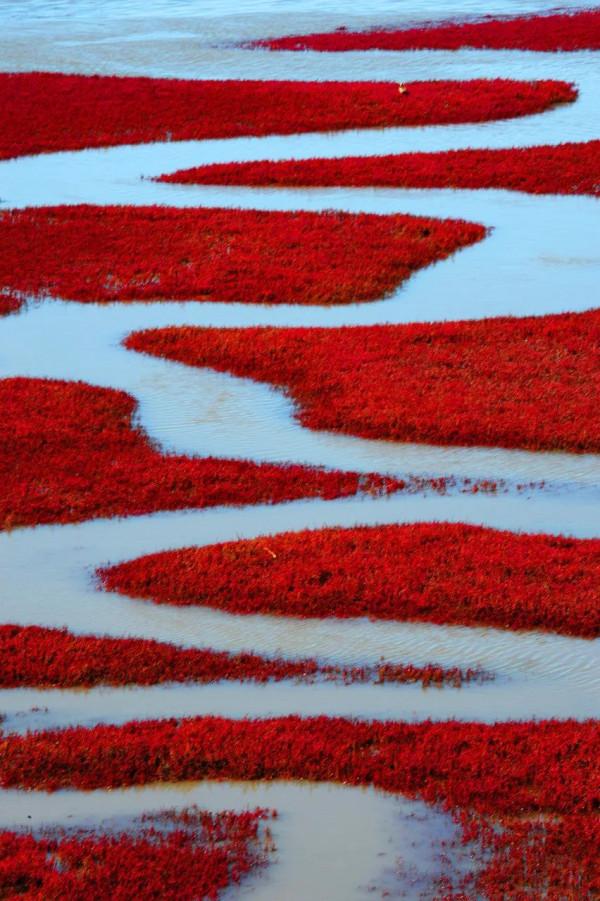 2022年最全旅行清單出爐：欠自己的旅行該還了