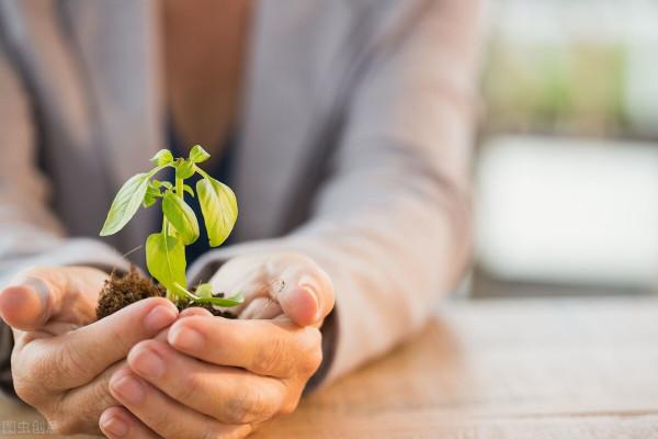 就算沒有四肢,依然可以為別人的人生點亮一束“微光” 就算沒有四肢,依然可以為別人的人生點亮一束“微光”