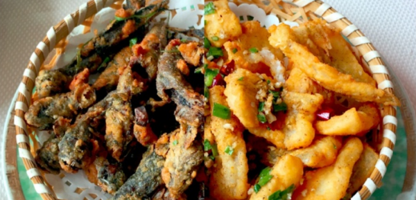 跳跳魚:我為了上岸跳了3億年,卻還是跳進了你們人類的廚房 跳跳魚:我為了上岸跳了3億年,卻還是跳進了你們人類的廚房