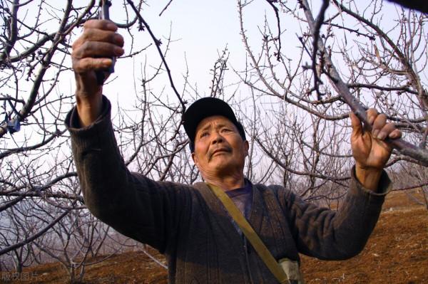 老一輩人都知道的故事 老一輩人都知道的故事