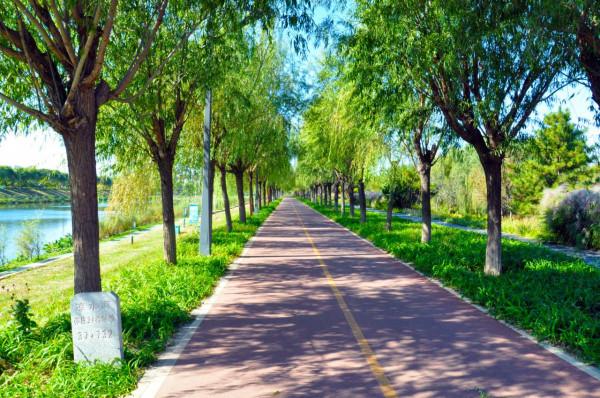 北京浪漫風車之旅,就在五環外的這個公園,免費景美有花有水 北京浪漫風車之旅,就在五環外的這個公園,免費景美有花有水