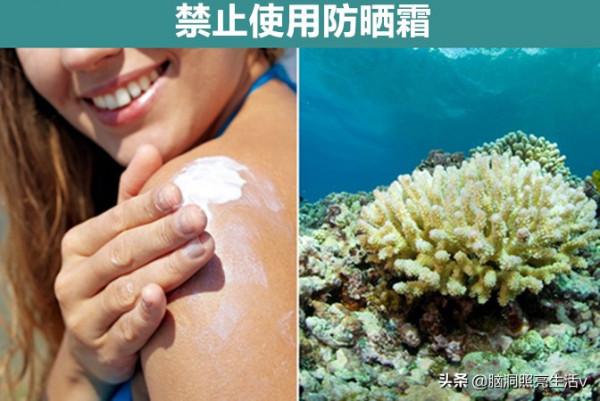 晚上10點以後禁止衝馬桶?來自世界不同國家的9個奇怪的規定 晚上10點以後禁止衝馬桶?來自世界不同國家的9個奇怪的規定