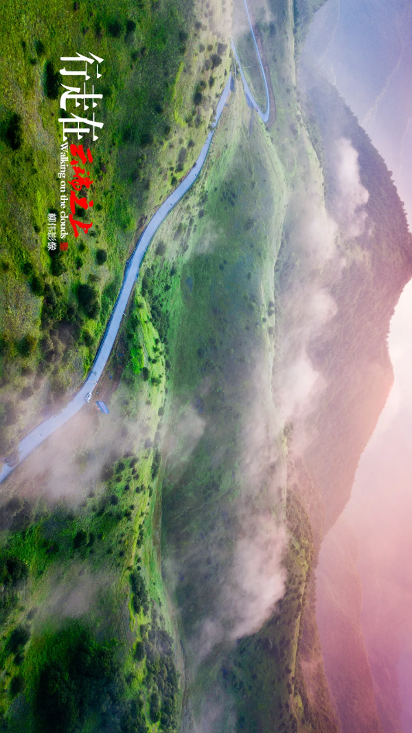 旋轉手機90° →哇！平利正陽雲端草甸這麼美嗎！