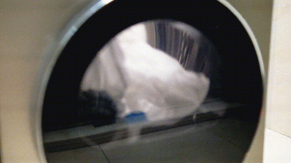 雙11寶藏新品家電大盤點，親測買了不後悔