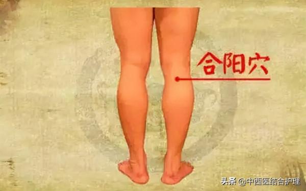 「穴位經絡養生」穴位就是中藥,經絡就是藥房!經常按摩穴位,太有用了!收藏吧 「穴位經絡養生」穴位就是中藥,經絡就是藥房!經常按摩穴位,太有用了!收藏吧