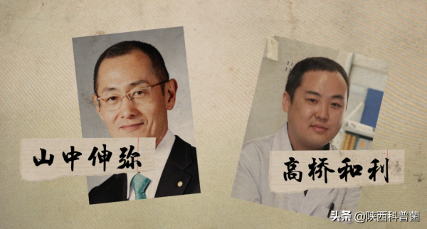 造一個人，需要幾步？
