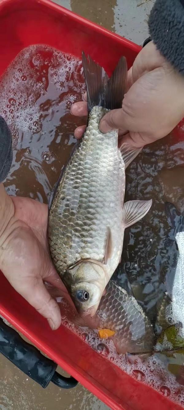 垂釣之旅——日行千里，只為漁你相見