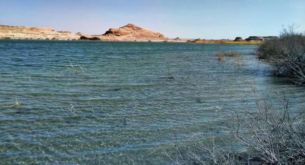新疆氣候越來越溼潤?河流水量增大,沙漠頻頻下雨 新疆氣候越來越溼潤?河流水量增大,沙漠頻頻下雨