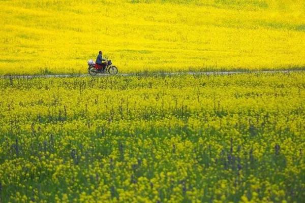有一種心動，叫黟縣的四季