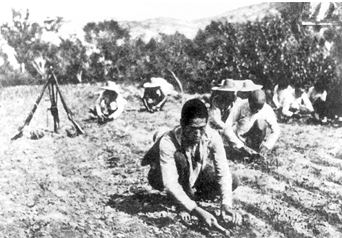 抗日戰爭時期，劉伯承進行總結的麻雀戰，作戰過程是怎樣的？