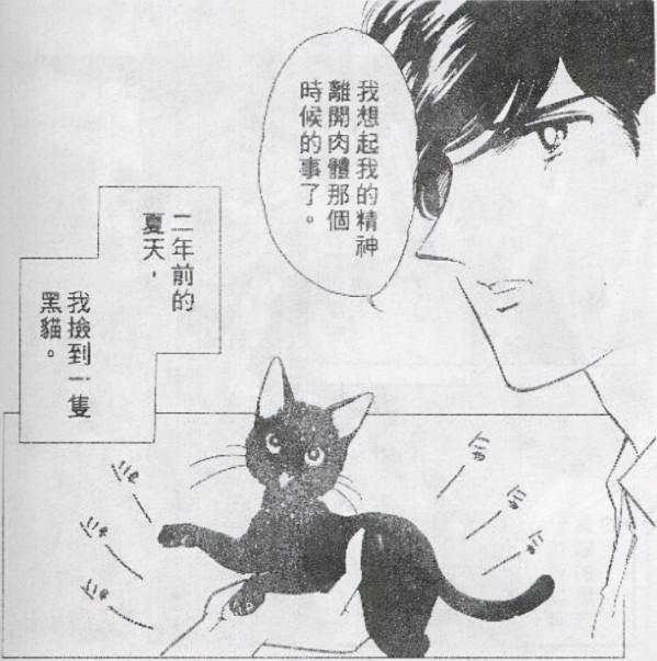 漫畫：愛貓死而復活，卻是借屍還魂，背後的原因讓少女恐懼