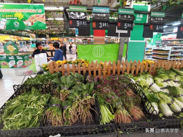 現在黃瓜多少錢一斤?近期蔬菜為何漲價?10月蔬菜行情走勢預測 現在黃瓜多少錢一斤?近期蔬菜為何漲價?10月蔬菜行情走勢預測