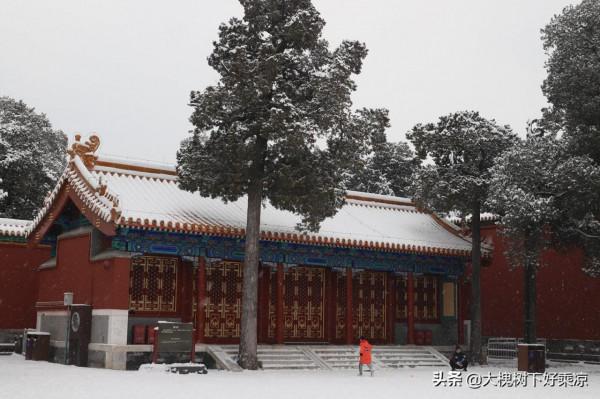 景山壽皇殿，被低估的雪景拍攝地，沒有約到故宮，來這裡