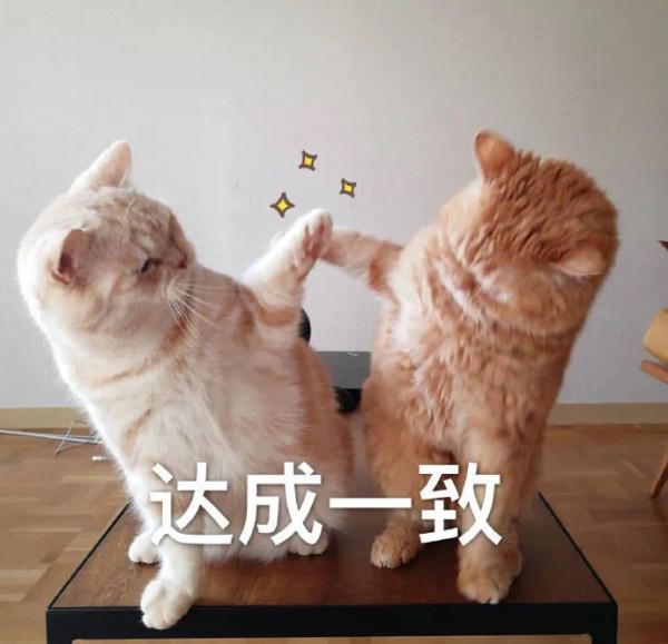 4款熱門蒸烤箱深度對比測評，送上選購指南，價效比高