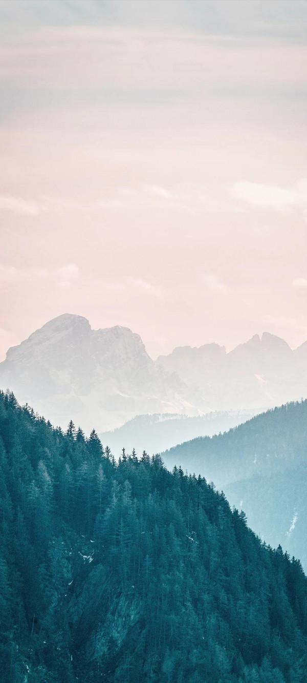 「內建桌布系列」海信F60 5G內建桌布｜嚐鮮版