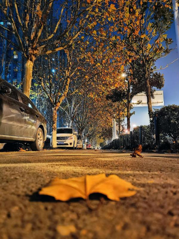 華為mate40pro拍照效果怎麼樣？看圖