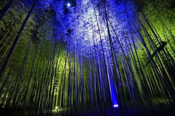 冬天的京都，去這些地方玩會更有趣