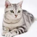 你的未來是什麼