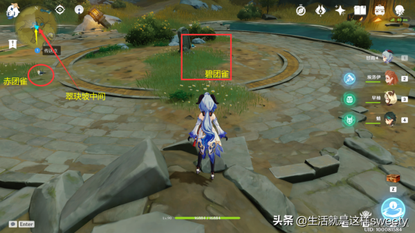 原神四方之網可捕捉小動物位置彙總一覽