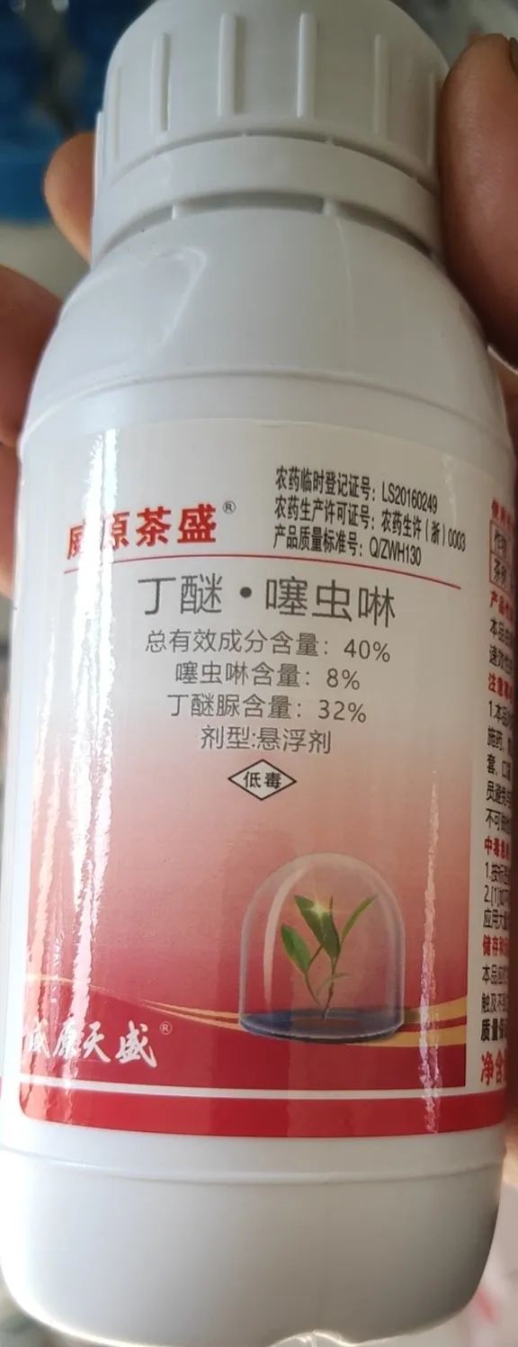 這7種多肉病蟲害,一到春天就爆發,及時處理很重要 這7種多肉病蟲害,一到春天就爆發,及時處理很重要